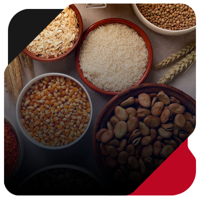 Grãos e Cereais.png